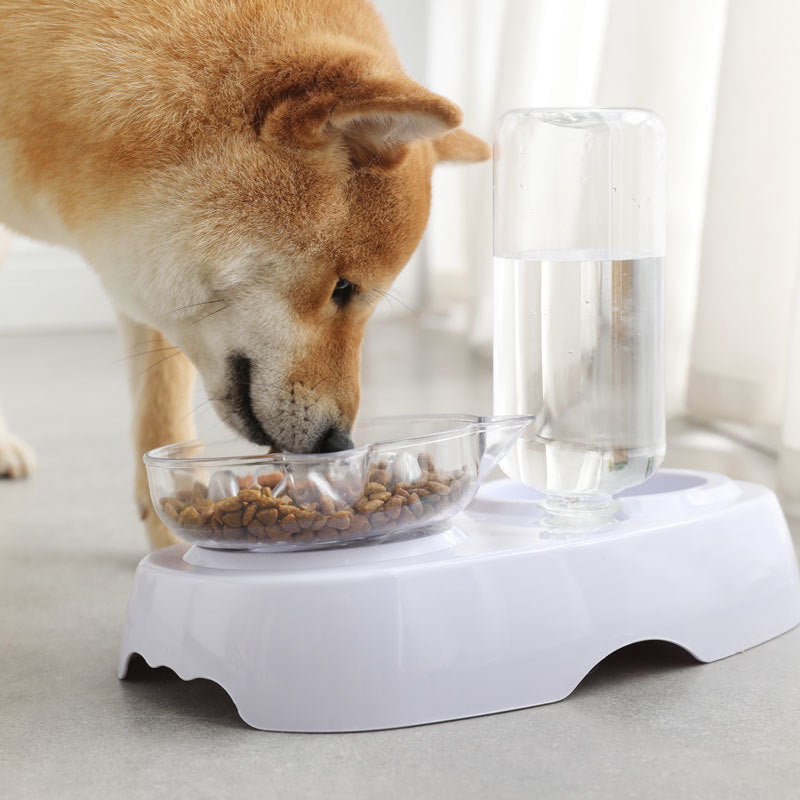 Why Your Pet Deserves the Best: The Transparent Plastic Pet Feeding and Drinking Bowl